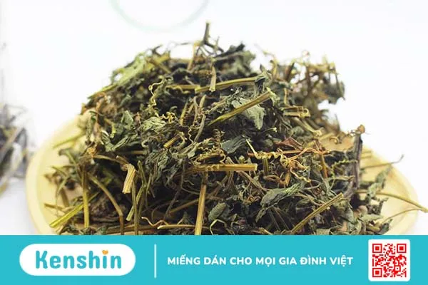 Tìm hiểu về tác dụng của trà giảo cổ lam 1