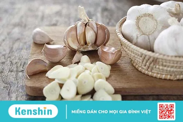 Tìm hiểu vòng đời của muỗi và cách tiêu diệt muỗi 3