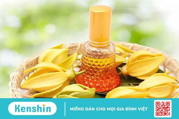 Tinh dầu ngọc lan tây có tác dụng gì? Những lưu ý khi sử dụng 1