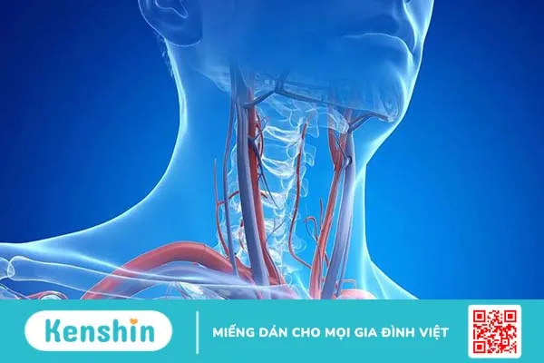 Tĩnh mạch cổ nổi có nguy hiểm không? Làm gì khi tĩnh mạch cổ nổi lên 3