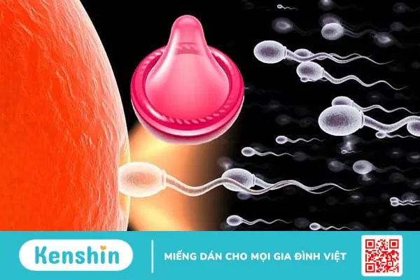 Tinh trùng sống được bao lâu sau khi được xuất tinh ra ngoài 1