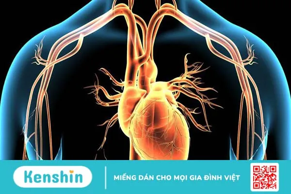 Tổng quan về một số bệnh và các nhóm thuốc tim mạch tương ứng 4