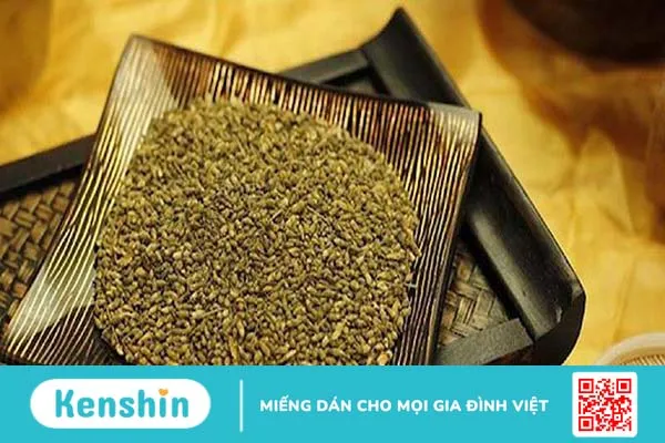 Top 5 Cách dùng hoa hòe chữa bệnh trĩ hiệu quả tại nhà 2