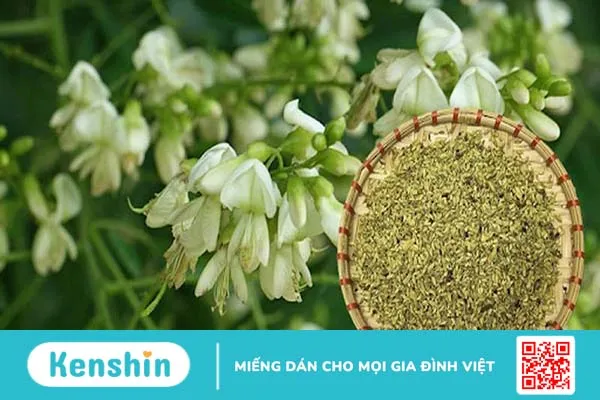 Top 5 Cách dùng hoa hòe chữa bệnh trĩ hiệu quả tại nhà 3