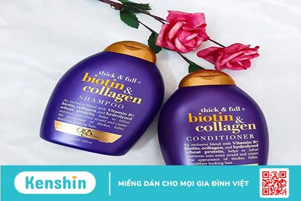 Top 6 dầu gội kích thích mọc tóc được ưa chuộng hiện nay 2