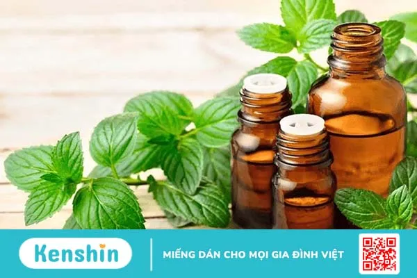 Top 6 tinh dầu kích thích mọc tóc và ngăn ngừa rụng tóc tốt nhất 1