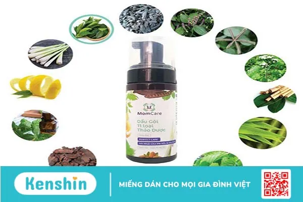 Top 7 sản phẩm dầu gội trị rụng tóc sau sinh hiệu quả, an toàn 2