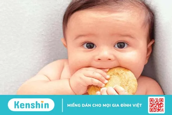 Các loại bánh ăn dặm cho bé được nhiều mẹ tin dùng-2