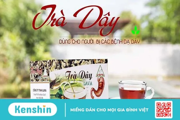 Trà dây Lava bán ở đâu? Công dụng của sản phẩm là gì 3