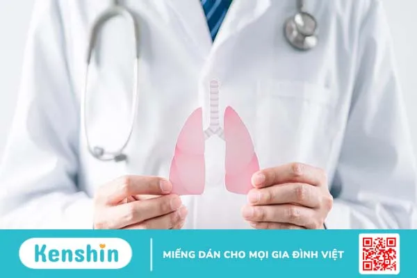 Trà Tía Tô – Gừng Kami Tea hỗ trợ tiêu hoá, chữa cảm mạo hiệu quả 1