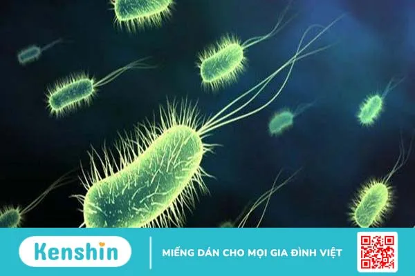 trieu-chung-ngo-doc-thuc-pham-do-clostridium-perfringens.webp