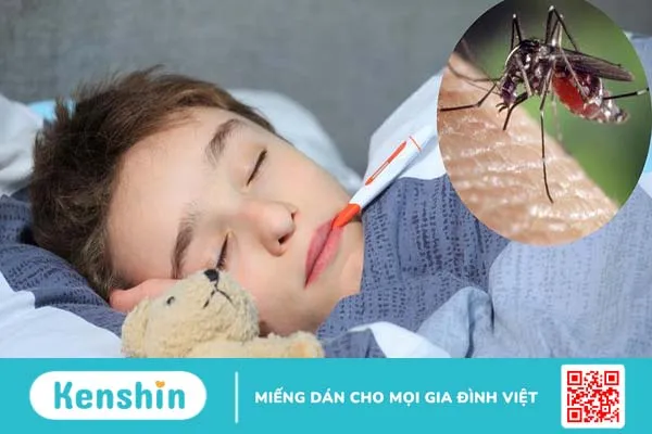 Trùng sốt rét lây nhiễm qua đường nào 1