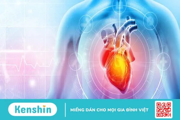 Trụy mạch là gì? Nguyên nhân, triệu chứng và cách phòng ngừa2