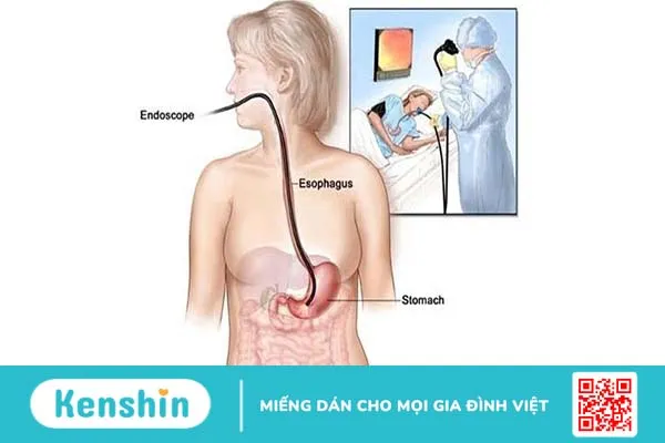 Truyền dinh dưỡng qua đường ruột