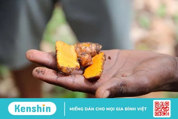 Turmeric Root là gì? Bất ngờ với tác dụng “độc đáo” của củ nghệ 4