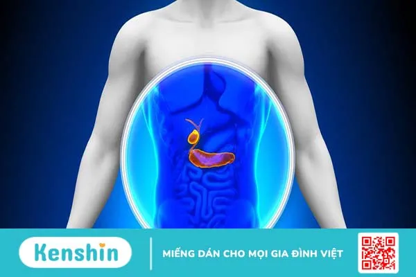 Tuyến tụy liên quan đến bệnh tiểu đường như thế nào? 1