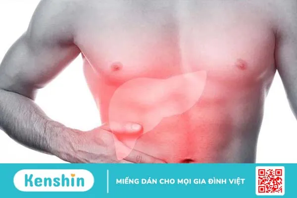 Gan là cơ quan nội tạng có kích thước lớn nhất