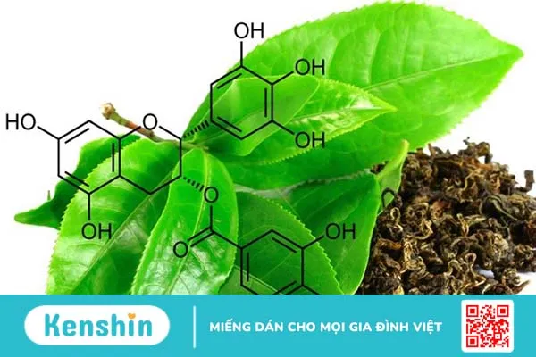 Uống trà xanh giảm cân như thế nào cho hiệu quả? 1