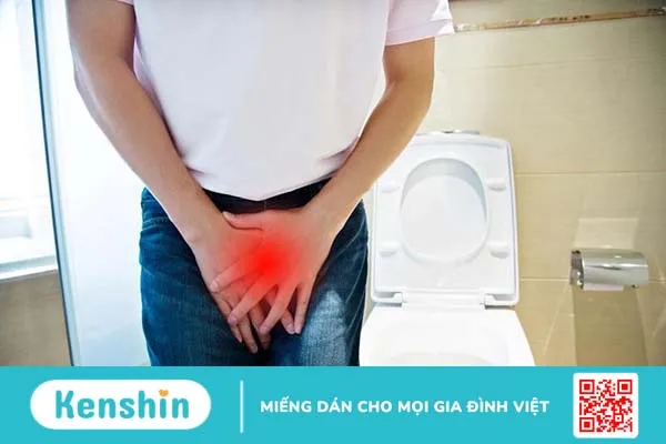 Vi khuẩn ureaplasma parvum gây bệnh gì? -4