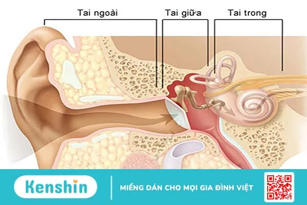 Viêm ống tai ngoài ác tính là gì? Có chữa trị được không? 2