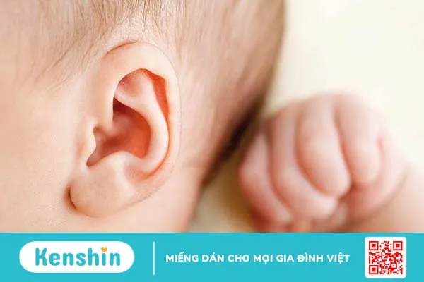 Viêm tai giữa cấp và những điều cần biết 1