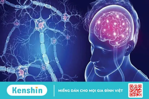 Viêm tủy thị thần kinh: Bệnh hiếm gặp gây suy giảm thị lực và liệt nửa người 1