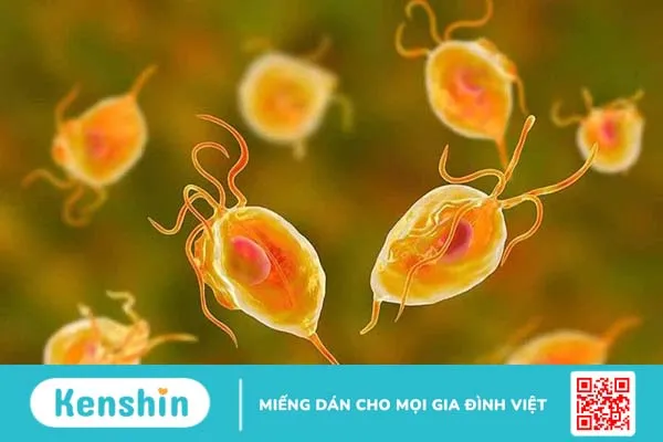 Vùng kín có mùi hôi: Nguyên nhân và cách khắc phục 2