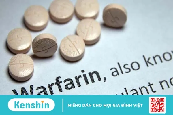 Warfarin là chất chống đông máu kháng vitamin K được sử dụng nhiều tỏng y học