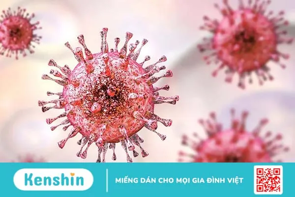 Xét nghiệm CMV phát hiện bệnh do virus Cytomegalo gây ra 1