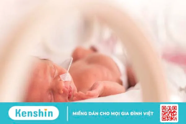 Xét nghiệm Fibronectin phát hiện nguy cơ sinh non 2