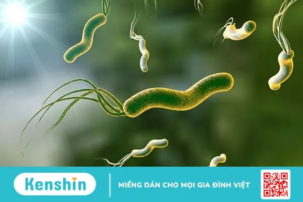 Xét nghiệm H. pylori IgG cho kết quả dương tính có ý nghĩa gì? 1