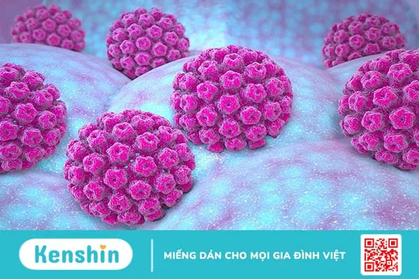 Xét nghiệm HPV ở nam giới và những thông tin cần biết