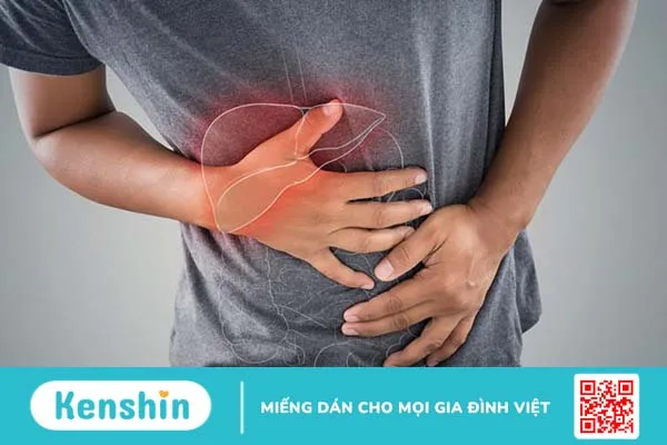 Xơ hóa gan là gì? Dấu hiệu và điều trị 2