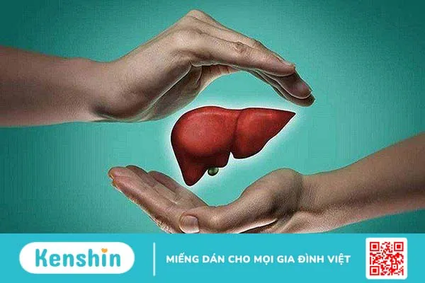 Xơ hóa gan là gì? Dấu hiệu và điều trị 3