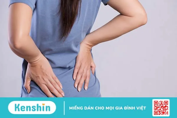 Xương chậu nằm ở đâu và đóng vai trò gì trong cơ thể? 2