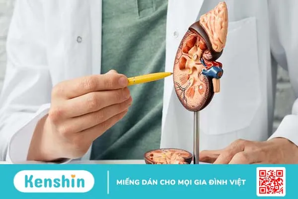 Ý nghĩa của việc ghép thận đối với cuộc sống của người bệnh 3