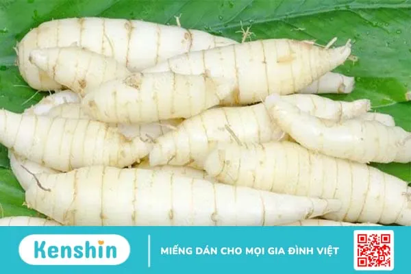 Ăn củ dong có tác dụng gì? Thành phần dinh dưỡng có trong củ dong