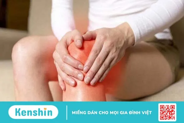 Ăn gì tốt cho khớp gối? Thực phẩm giúp hỗ trợ điều trị bệnh về khớp gối