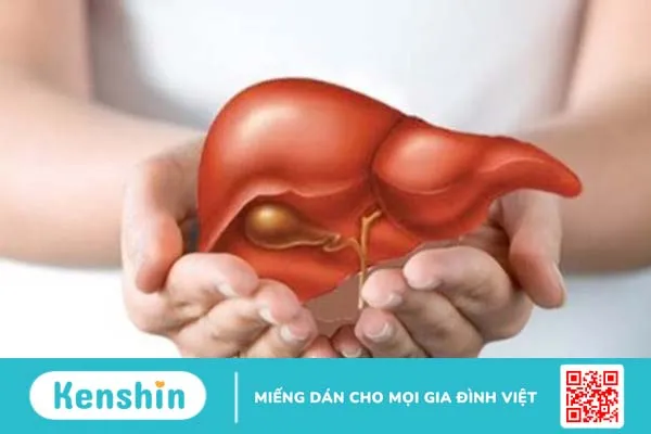 Ăn gì tốt cho viêm gan B? Người bị viêm gan B cần kiêng những gì?