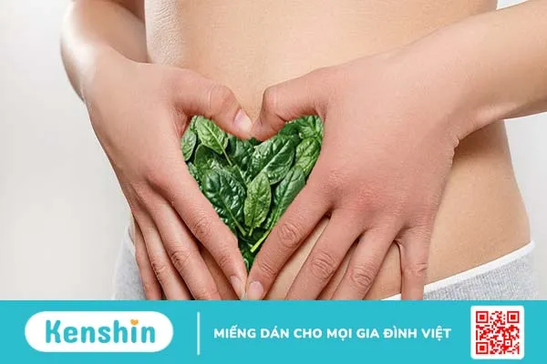 Ăn rau gì tốt cho đường ruột? Gợi ý lối sống lành mạnh cho hệ tiêu hóa khỏe mạnh