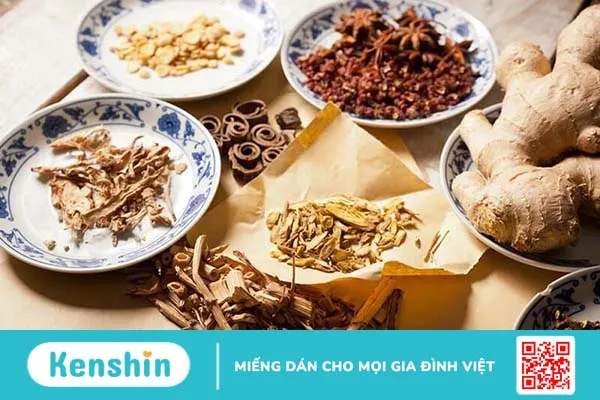 Bài thuốc chữa viêm tai giữa bằng thuốc đông y nào hiệu quả nhất?