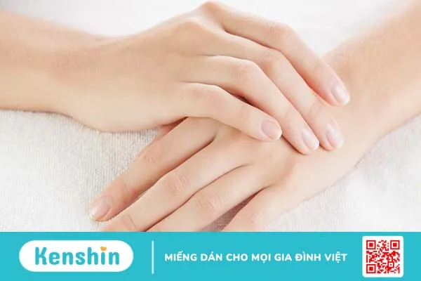 Bàn tay có bao nhiêu xương? Cấu trúc và chức năng của bàn tay trong cơ thể người