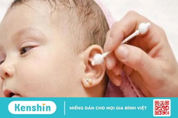 Bật mí các cách chữa viêm tai giữa bằng lá mơ lông hiệu quả