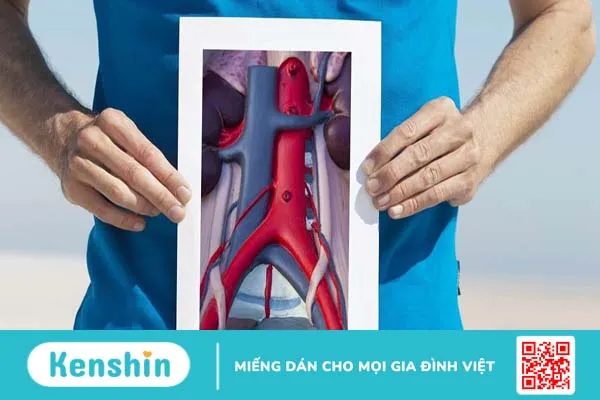 Bệnh động mạch chủ: Biểu hiện, điều trị và biện pháp phòng ngừa