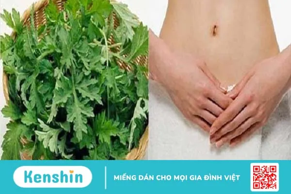 Bệnh rối loạn kinh nguyệt uống cây gì hiệu quả?