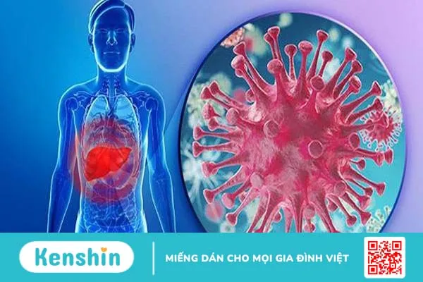 Bệnh viêm gan B lành tính có chữa khỏi được không?