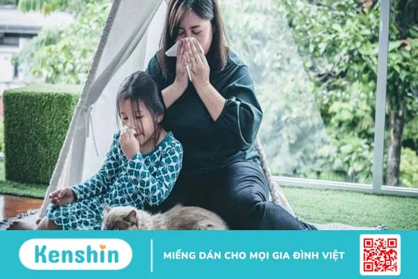 Bệnh viêm mũi dị ứng có di truyền không?