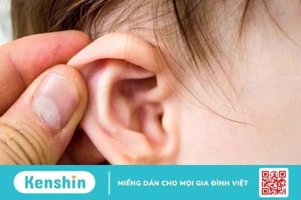 Bị viêm tai ngoài uống thuốc gì?