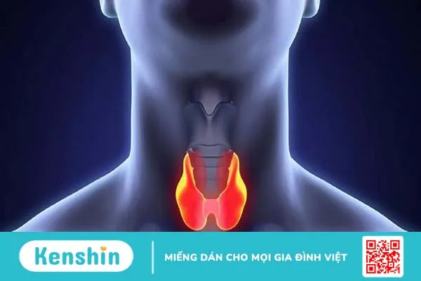 Bướu cổ lành tính có đau không? Cách chữa bệnh bướu cổ lành tính