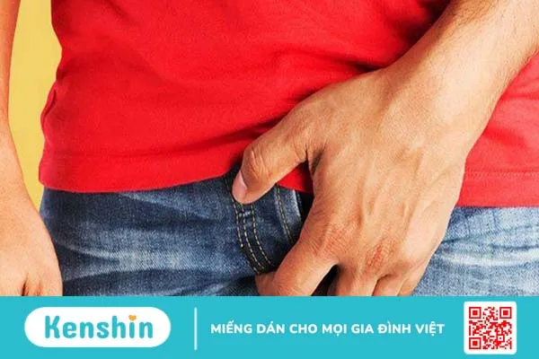 Các bệnh về tinh hoàn phổ biến nhất hiện nay